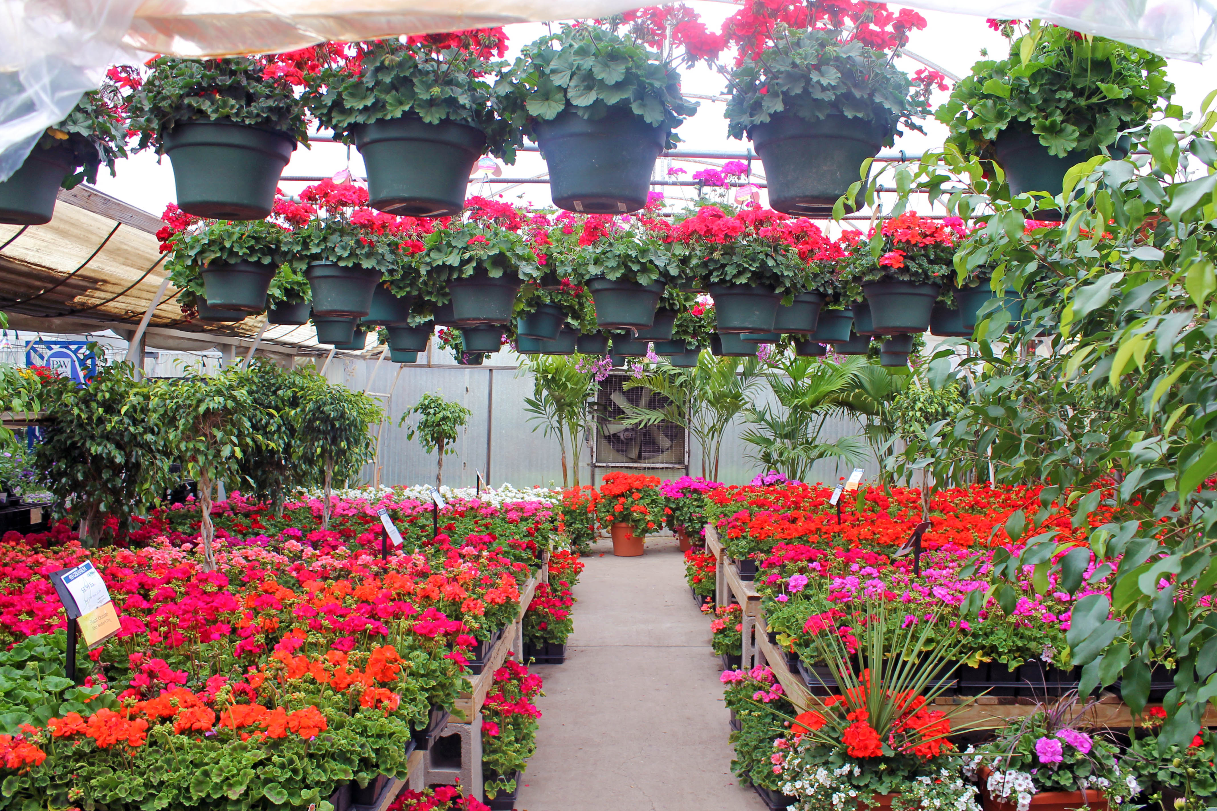 City Floral Garden Center Receives Top of the Town Honor for Both